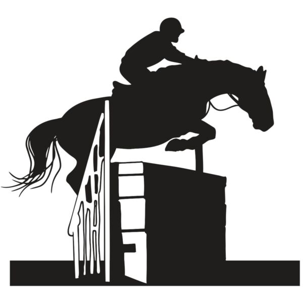 AR EQUEST 20 RC Miniaturansicht