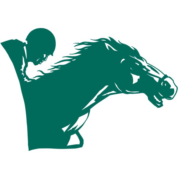 AR EQUEST 19 RC Miniaturansicht