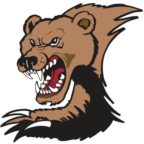 AR BEAR 56 RC Miniaturansicht