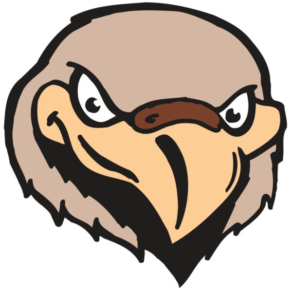 AR FALCON 33 RC Miniaturansicht