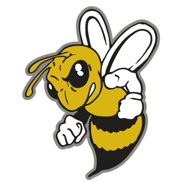 AR BEE 60 RC Miniaturansicht