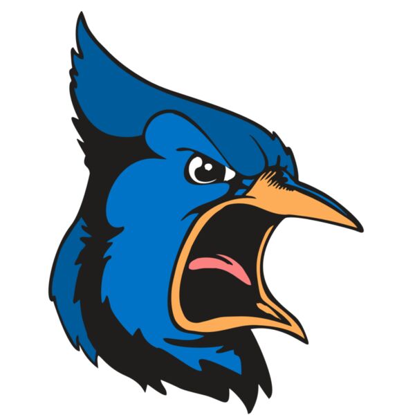 BAW BLUEJAY 03 RC Miniaturansicht