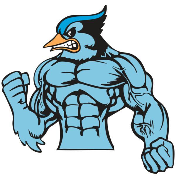 BAW BLUEJAY 16 RC Miniaturansicht