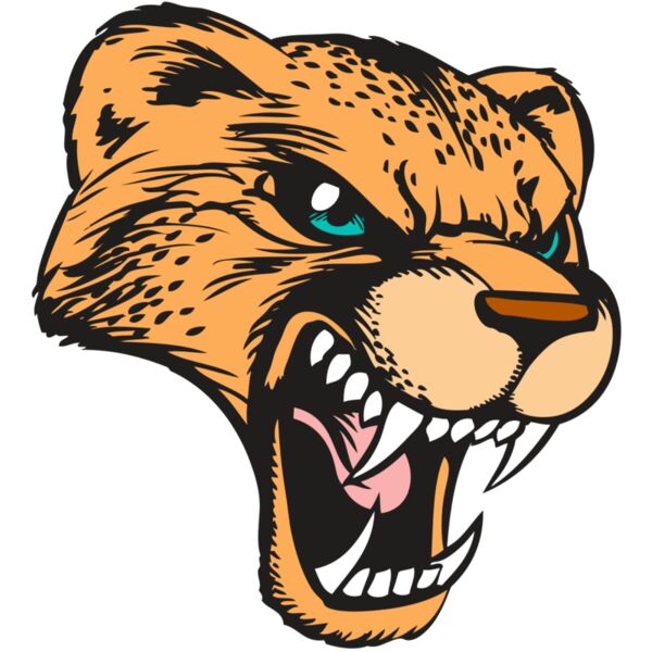 BAW CHEETAH 19 RC Miniaturansicht