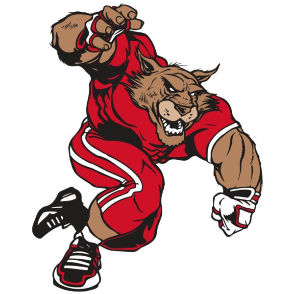 AR WILDCAT 32 RC Miniaturansicht