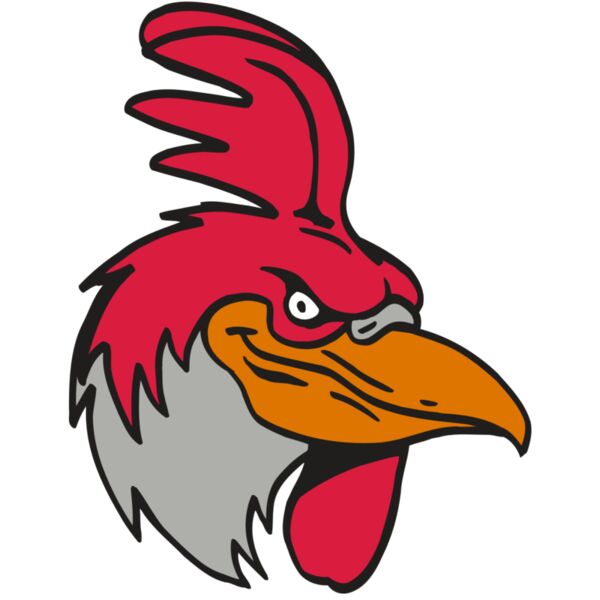 AR5 Gamecock 05 RQC Miniaturansicht