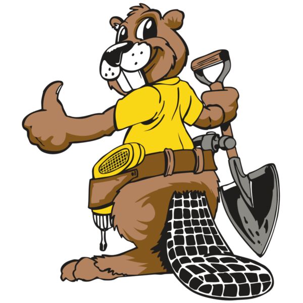 AR BEAVER 12 RC Miniaturansicht