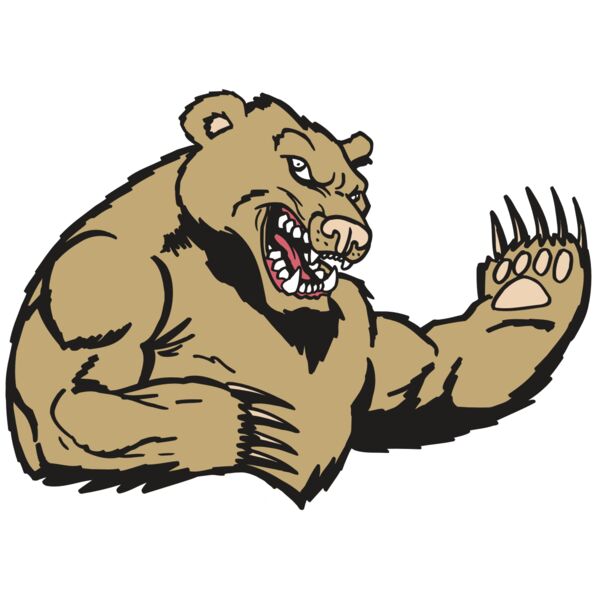 AR5 Bear 31 RQC Miniaturansicht