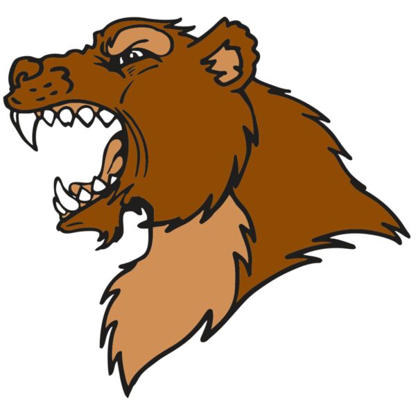 AR BEAR 22 RC Miniaturansicht