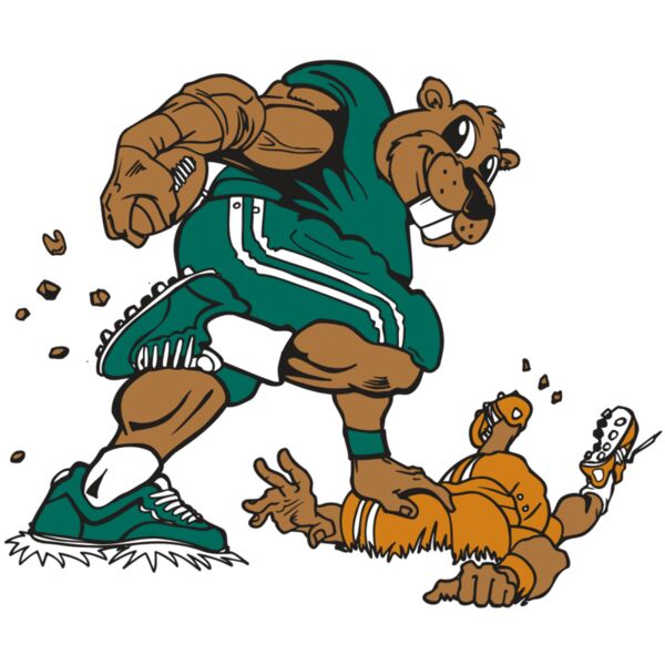 AR14 BEAVER FBLL 01 RQC Miniaturansicht