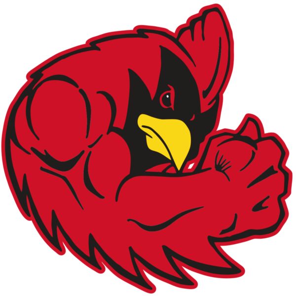 AR CARDINAL 29 RC Miniaturansicht