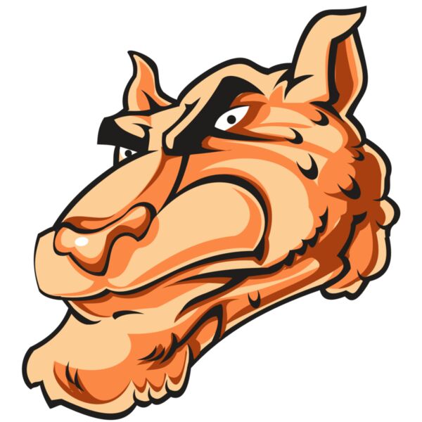 CHEETAH HD0502 RQC Miniaturansicht