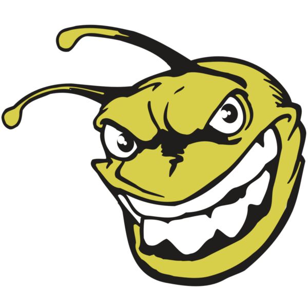 AR5 BEE 08 RQC Miniaturansicht