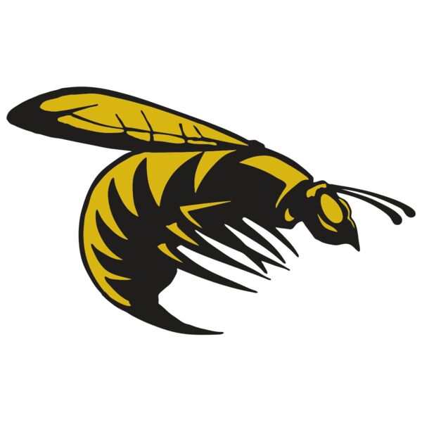 AR BEE 49 RC Miniaturansicht