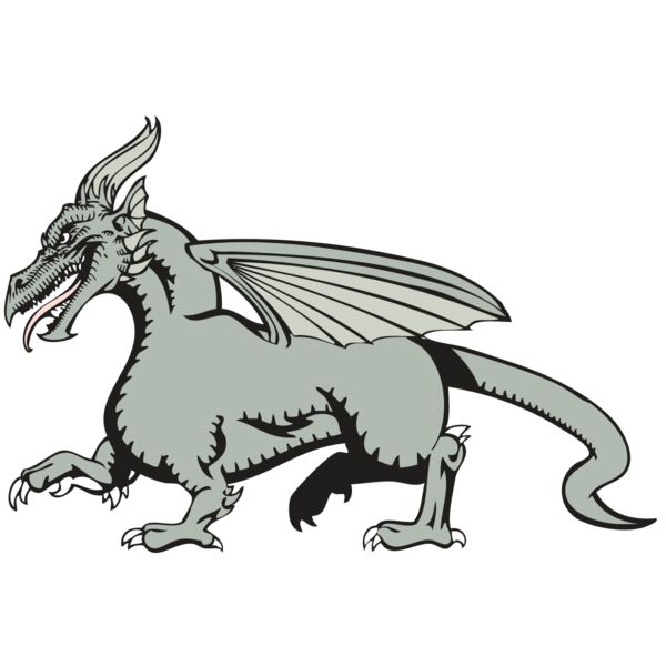 BAW DRAGON 20 RC Miniaturansicht