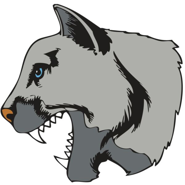 BAW COUG PANTH 15 R Miniaturansicht