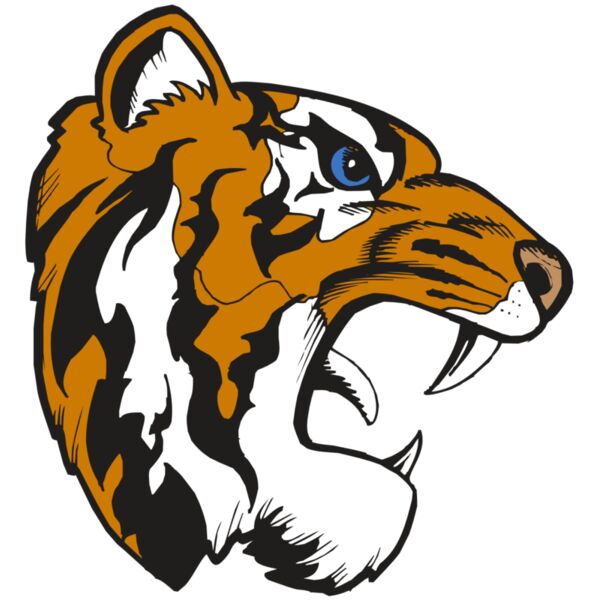 BAW TIGER 08 RC Miniaturansicht