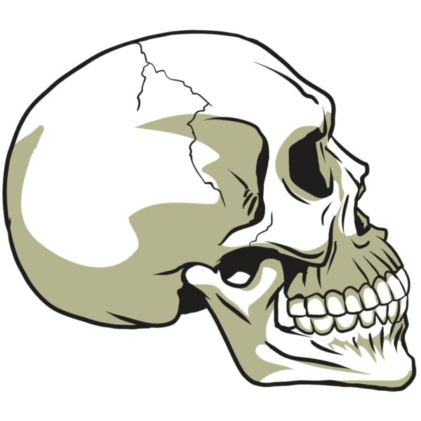 AR24 SKULL 12 RQC Miniaturansicht