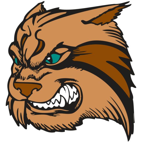 BAW WILDCAT 05 RC Miniaturansicht