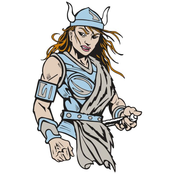 AR5 VIKING 29 RQC Miniaturansicht