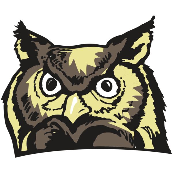 AR OWL 10 RC Miniaturansicht