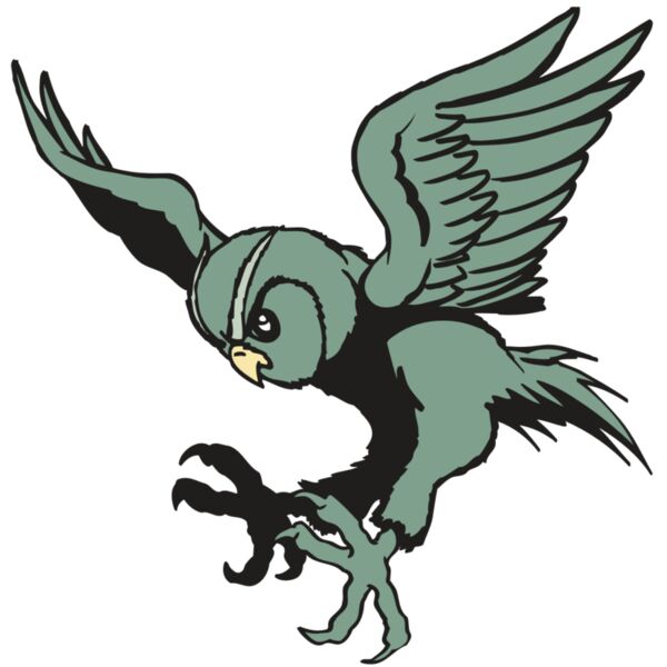 AR OWL 15 RC Miniaturansicht