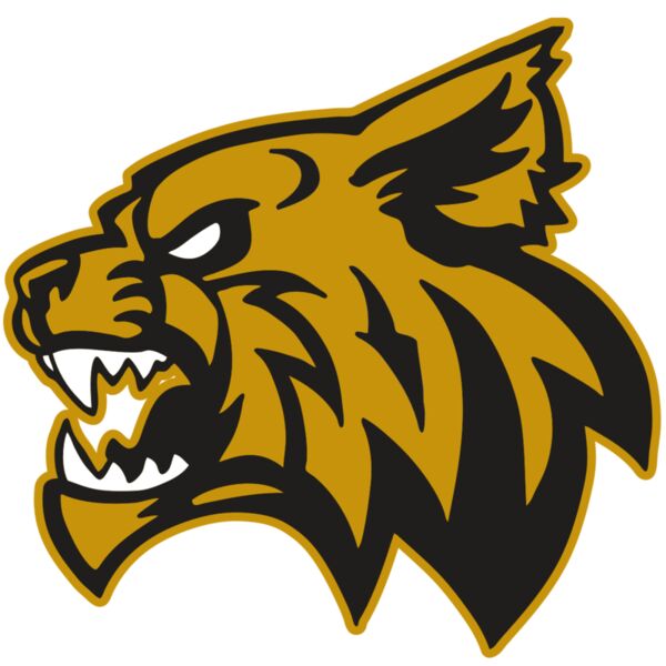 AR WILDCAT 16 RC Miniaturansicht