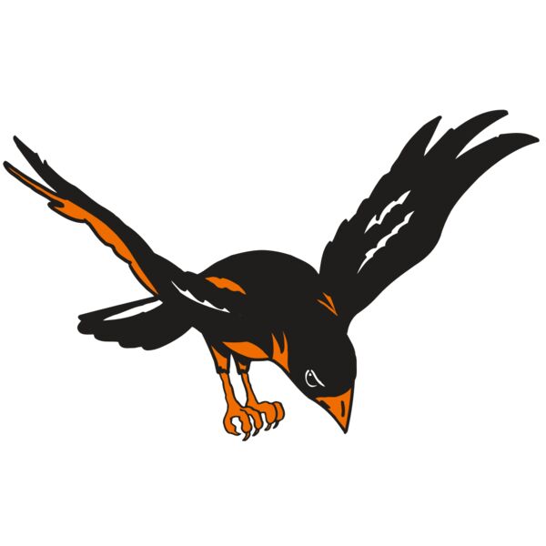 AR ORIOLE 16 RC Miniaturansicht