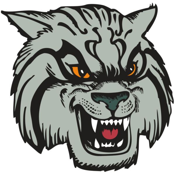 BAW WILDCAT 03 RC Miniaturansicht