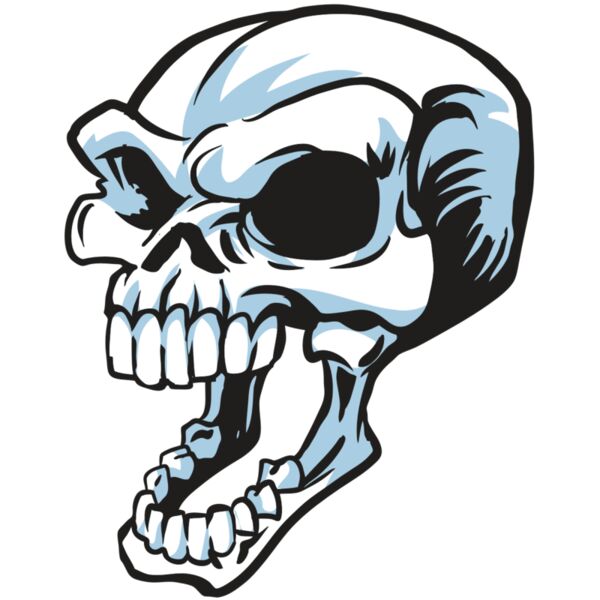 AR24 SKULL 15 RQC Miniaturansicht