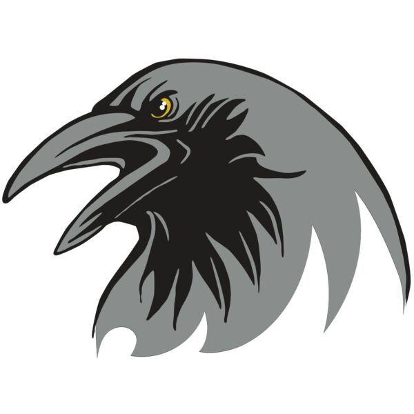 AR31 RAVEN 02 RQC Miniaturansicht