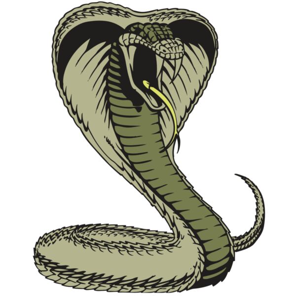 BAW SNAKE 07 RC Miniaturansicht