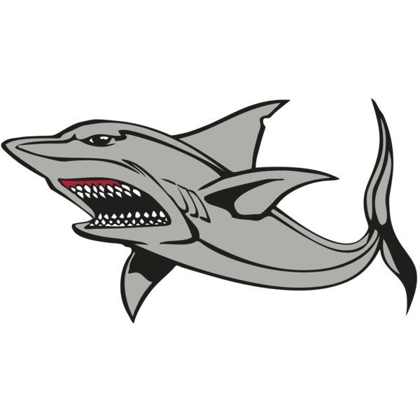 BAW SHARK 03 RC Miniaturansicht