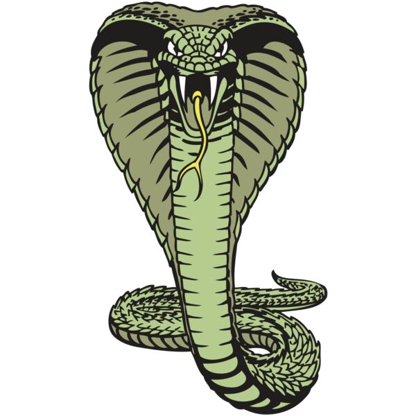 BAW SNAKE 15 RC Miniaturansicht