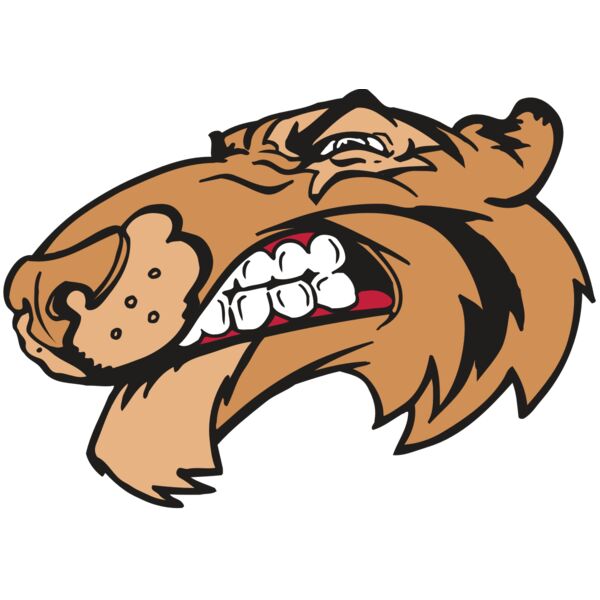 AR5 Tiger 13 RQC Miniaturansicht