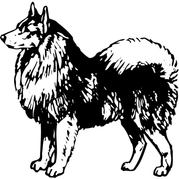 DC0024 Miniaturansicht