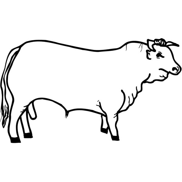 COW001 Miniaturansicht