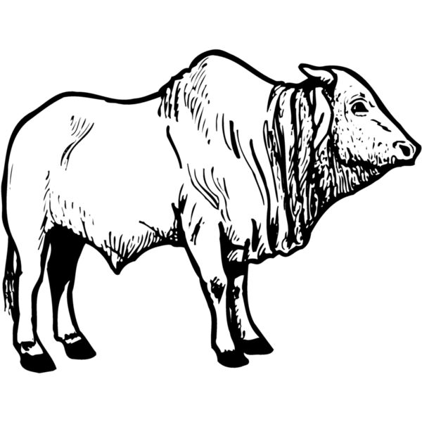 COW021 Miniaturansicht