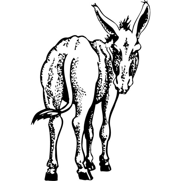 BURRO003 Miniaturansicht