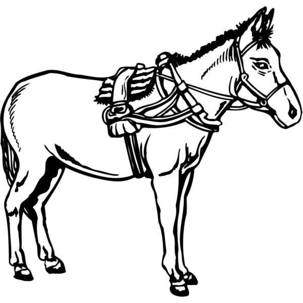 BURRO007 Miniaturansicht