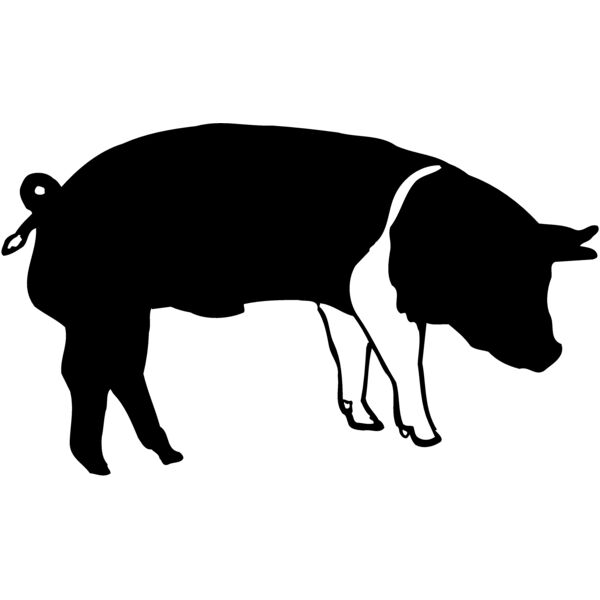 HOG0005 Miniaturansicht