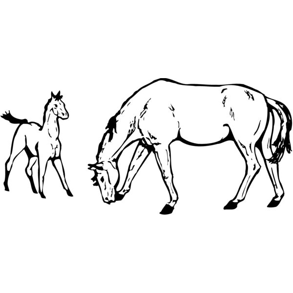 HORSE045 Miniaturansicht