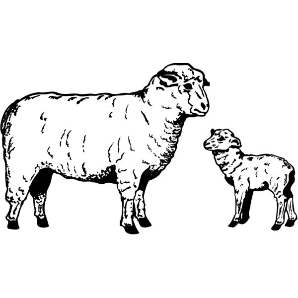 SHEEP010 Miniaturansicht