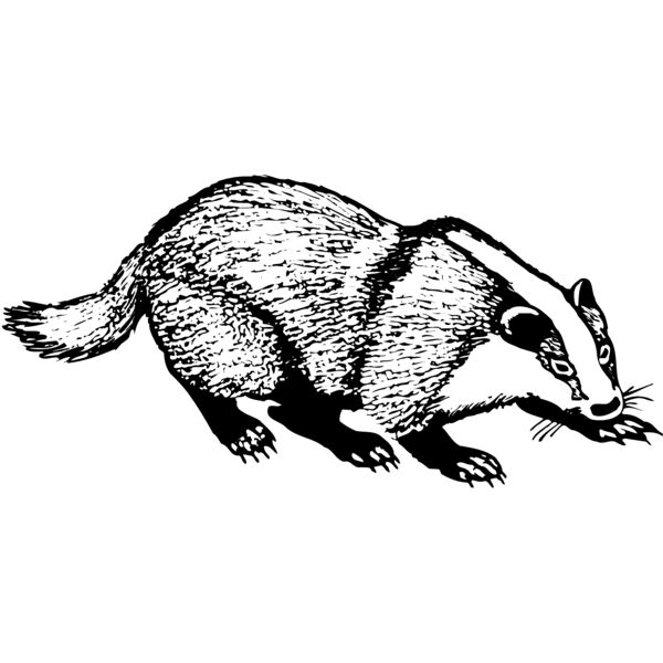 BADGER03 Miniaturansicht