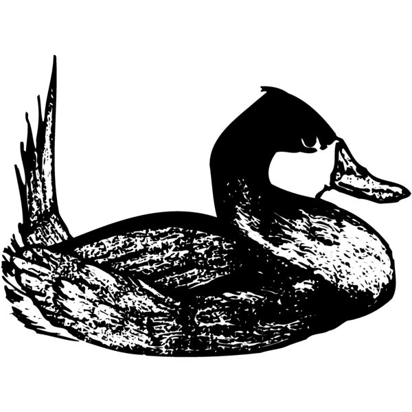 BIRD102 Miniaturansicht