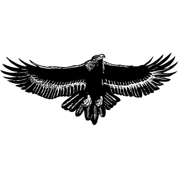 EAGLE010 Miniaturansicht