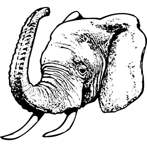 ELEPH010 Miniaturansicht