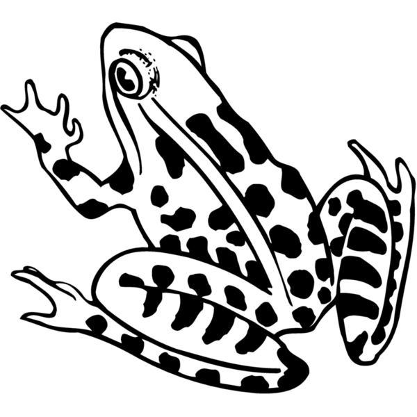 FROG01 Miniaturansicht