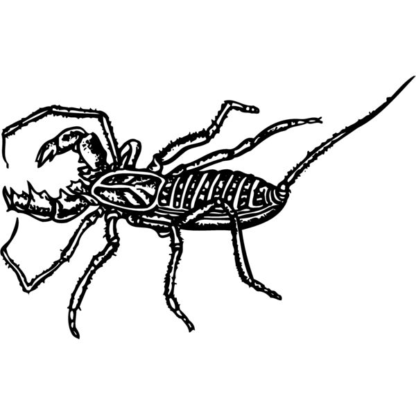 SCORP02 Miniaturansicht