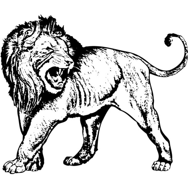 LION007 Miniaturansicht